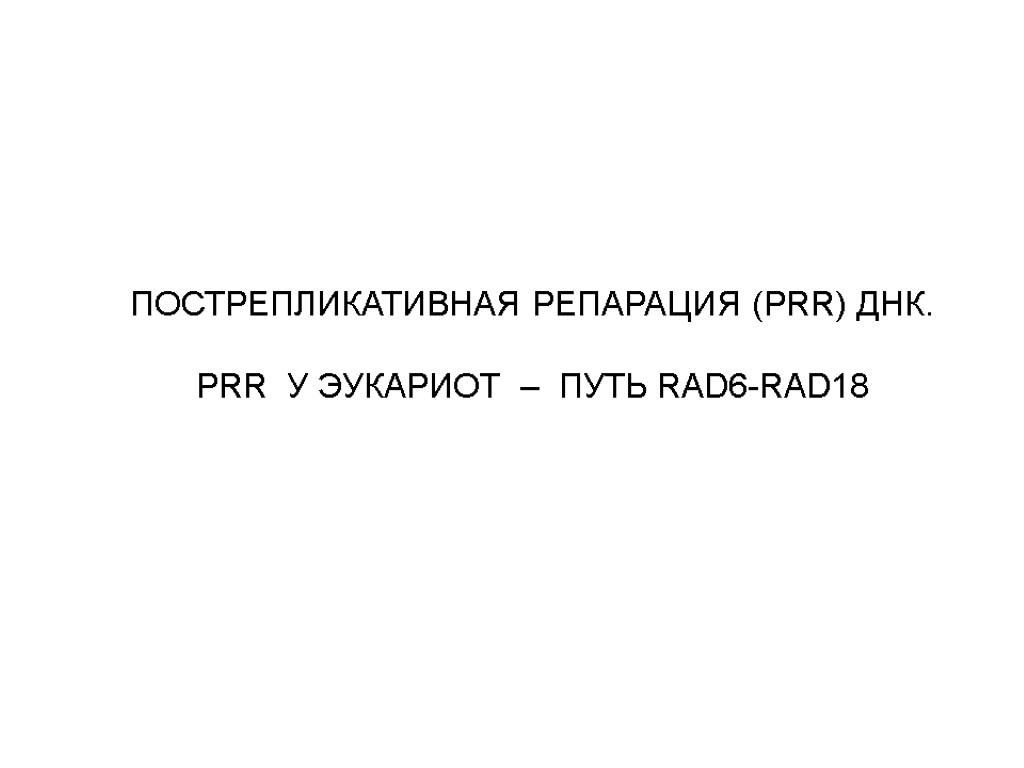 ПОСТРЕПЛИКАТИВНАЯ РЕПАРАЦИЯ (PRR) ДНК. РRR У ЭУКАРИОТ – ПУТЬ RAD6-RAD18